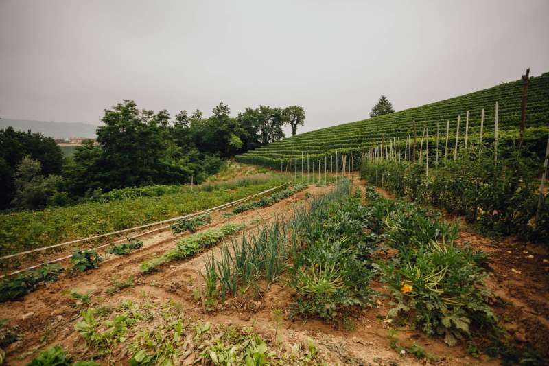 Privater Garten des Relaises con produzione verdura a Km 0