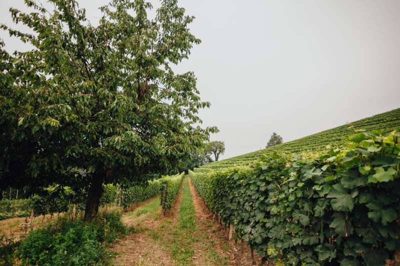 Privater Garten des Relaises con produzione verdura a Km 0