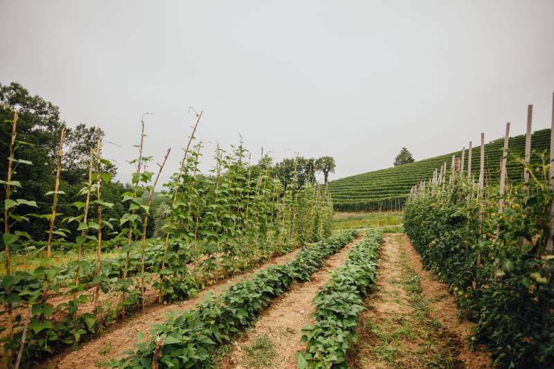 Privater Garten des Relaises con produzione verdura a Km 0